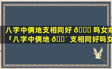 八字中俩地支相同好 🐅 吗女命「八字中俩地 🌴 支相同好吗女命好不好」